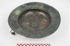 Foto von Bronzebreitrandfußschale (NHMW-PRAE-025521)